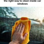 An Owl Near Your House: What It Signifies