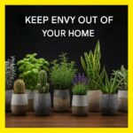 🍋 Cheesecake Factory–Style Key Lime Cheesecake Recipe