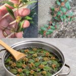 Visible Veins: What They Mean and Why You Might See Them