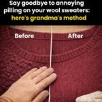 Planting Flower Bulbs in Toilet Paper Rolls: Strong Roots and Perfect Rows