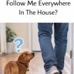 Garlic: The Natural Antibiotic That Wages War on Infections