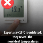 How to Store Food Correctly and Make It Last Longer