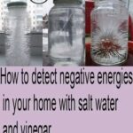 Have Fresh Herbs Non-Stop: How to Grow Them in Water Successfully