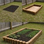 Why Okra May Support Health, According to Experts