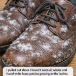 🍊 Orange Peels and Salt: At Home, They’re Worth Their Weight in Gold If You Use Them Like This