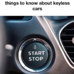 Don’t Toss Those Worn Dish Towels Just Yet!