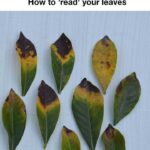 Here’s Why You May Want to Ditch Black Plastic Utensils and Takeout Containers from Your Kitchen