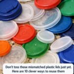 🌿 Don’t Toss Those Old Egg Cartons Just Yet — 10 Clever Ways to Reuse Them