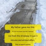 🧐 Found This Hard, Foam-Like Brown Structure on a Fence Post — What Is It?