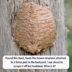 My Father Gave Me This Trick: Remove Ice from the Driveway in Just 5 Minutes — Without Effort