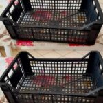 ✨ Why Everyone Loves These Cream-Filled Crêpes