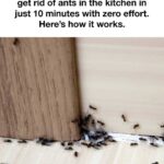 Have You Noticed Small White Spots on Your Arms or Legs… and You Don’t Know What They Are?