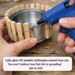 🏠 How to Easily Remove Green Algae From Your House Siding (No Heavy Effort!)