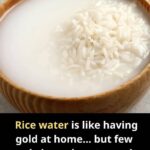 My Dad Taught Me This Trick to Fix Brown Grass Spots With Zero Effort — Here’s How It Works