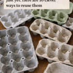 ♻️ Don’t Toss Those Mismatched Plastic Lids Just Yet