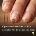 My Neighbor Gave Me a Bag of These: Discovering the Mystery of Black Trumpet Mushrooms