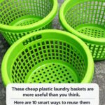 🌙 Lady Paints 50 Garden Stones with Glow Paint — How They Light Up at Night Is ENCHANTING