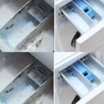 What Does the Small Fish-Shaped Symbol Seen on the Back of Some Cars Mean, and Why Is It Used?