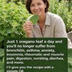 Mix Ginger with Cloves and Discover What This Simple Combination Can Do for You