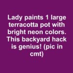 Why You Shouldn’t Throw Away Chipped Mugs