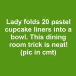 Keep a Rosemary Plant by Your Kitchen Window: Here Are the 10 Effects on Your Daily Habits and Health