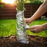 Found After the Rain: The “Mutant Worm” Mystery Explained (And Why It’s Totally Natural)