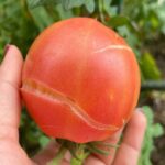 Before You Throw Out Those Worn Flannels, Look at This: 10 Useful Ways People Reuse Old Flannel Shirts