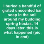 Lady Wraps Yarn Around Plastic Bottles — This Genius DIY Idea Is Going Viral for a Reason