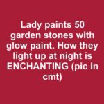 🧺 Creative Ways to Reuse Plastic Laundry Baskets