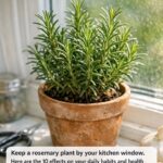 Lady Folds 20 Pastel Cupcake Liners Into a Bowl. This Dining Room Trick Is Neat!
