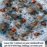 10 Weird Compost Tricks That Actually Speed Things Up (Backed by Real Results)