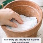 15 Easy Root Vegetables to Grow in Cheap Plastic Laundry Baskets That Will Completely Transform Your Patio Garden