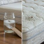 Got Peonies? 9 Essential Things You Must Do Right Now Before Buds Set