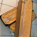 Got Peonies? 9 Essential Steps to Take Right Now Before It’s Too Late for Massive Blooms This Spring