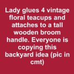 Lady Spray-Paints Stainless Steel Bowls and Glues Them Onto Tree Branches – Everyone Is Copying This Front Yard Idea