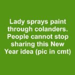 Soak Shredded Junk Mail Paper + 2 Household Items: The Genius DIY That Turns Waste Into Something Incredible