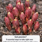 “I Bet You Have No Idea What This Is…” — It’s Government Cheese