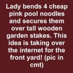 Transform Your Backyard with This Genius Solar Light Hack