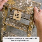 Got Bearded Iris? 8 Essential Things You Must Do in April for Spectacular Blooms