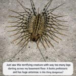 Drill Holes in a Metal Trash Can? This Simple Backyard Hack Creates a Stunning Feature