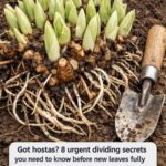 Grow an Infinite Supply of Crisp Green Onions at Home 🌱