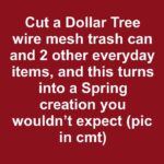 Found a Strange Grey “Sausage” in Your Lawn? Here’s the Surprising Truth