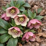 Drill Holes in a Metal Trash Can? This Simple Backyard Hack Creates a Stunning Feature