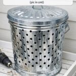 Just Saw This Terrifying Creature in Your Basement? Here’s What It Really Is (And If It’s Dangerous)