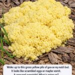 Lady Glues a Glass Vase onto a River Rock and Paints It Copper — This Backyard Hack Is Taking Over the Internet