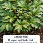 Woke Up to a Gross Yellow Pile of Goo in Your Garden? Here’s What’s Really Going On