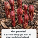 I Swallowed a Tablespoon of Olive Oil Every Morning… 7 Days Later, This Is What Happened