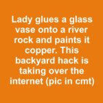 Woke Up to a Gross Yellow Pile of Goo in Your Garden? Here’s What’s Really Going On