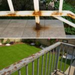 “What Is This on My Balcony?” — A Closer Look at This Strange Discovery