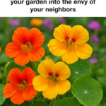 Just Saw This Terrifying Creature in Your Basement? Here’s What It Really Is (And If It’s Dangerous)